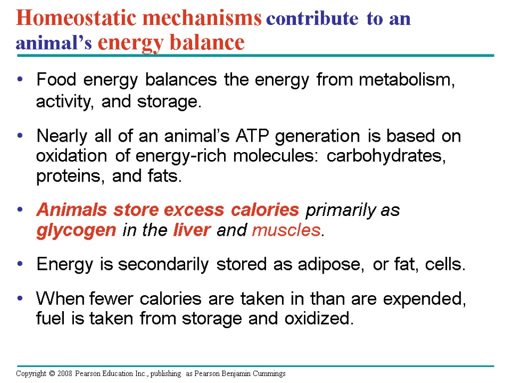 Homeostatic mechanisms contribute to an animal’s energy balance Food energy balances the energy from